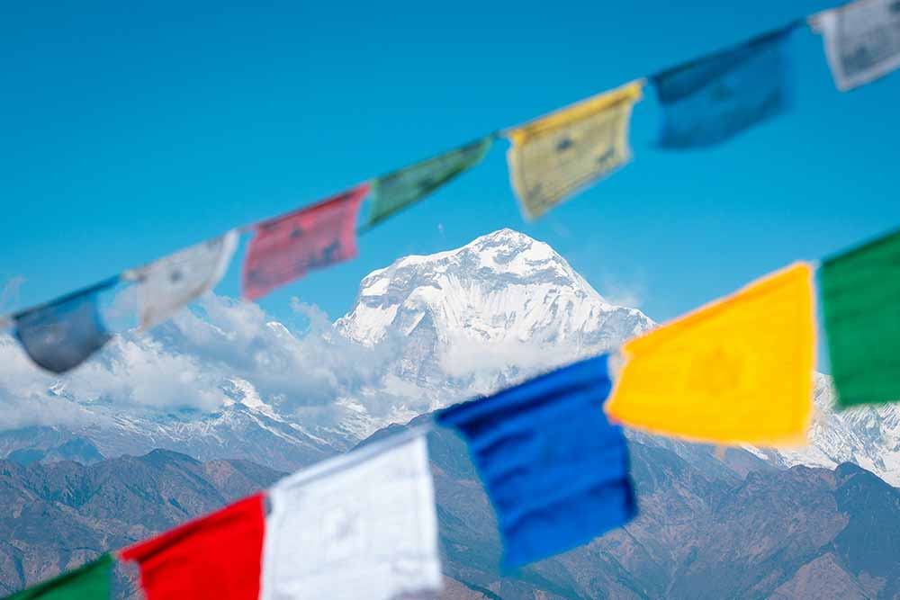 Ghorepani Poon Hill Trek